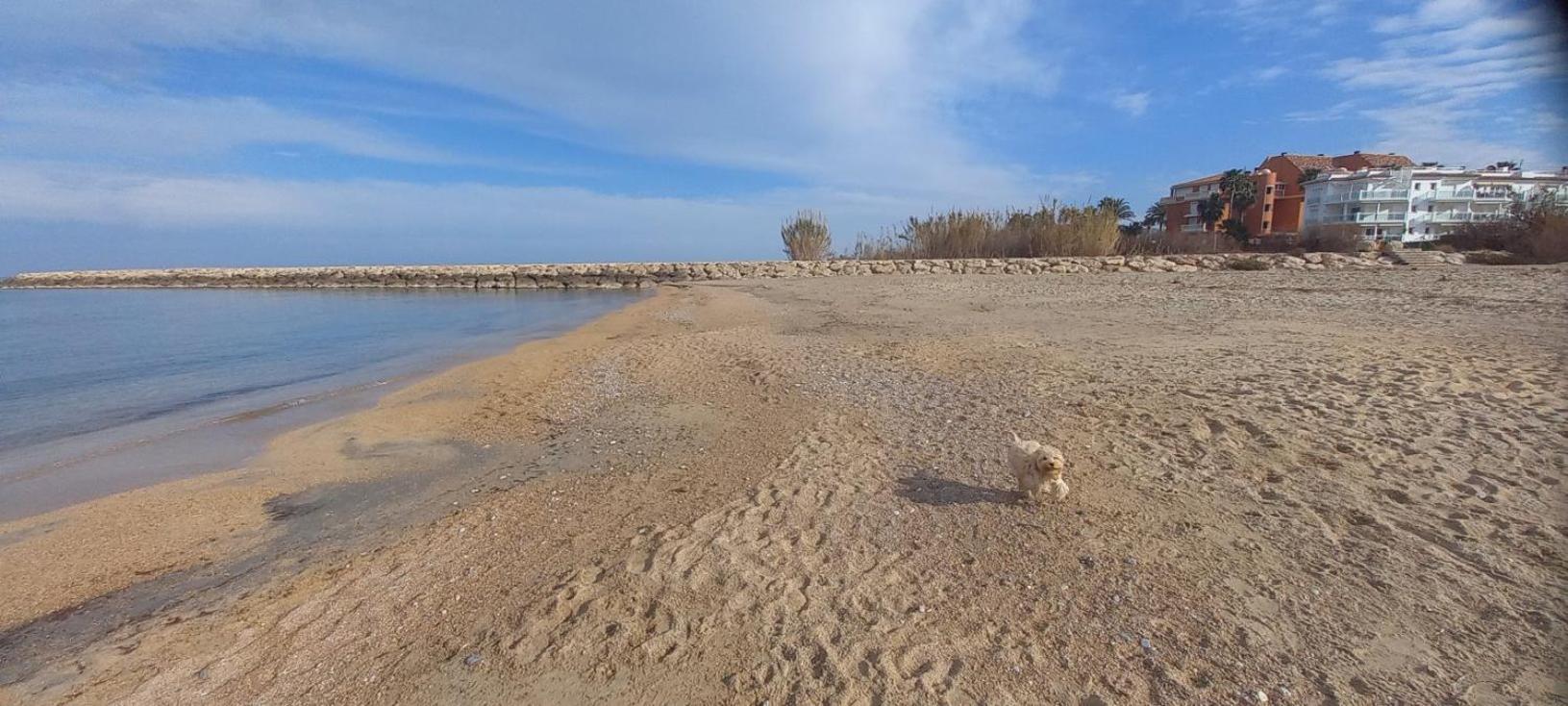 Beach View - Primera Linea Lujo Denia Exterior foto